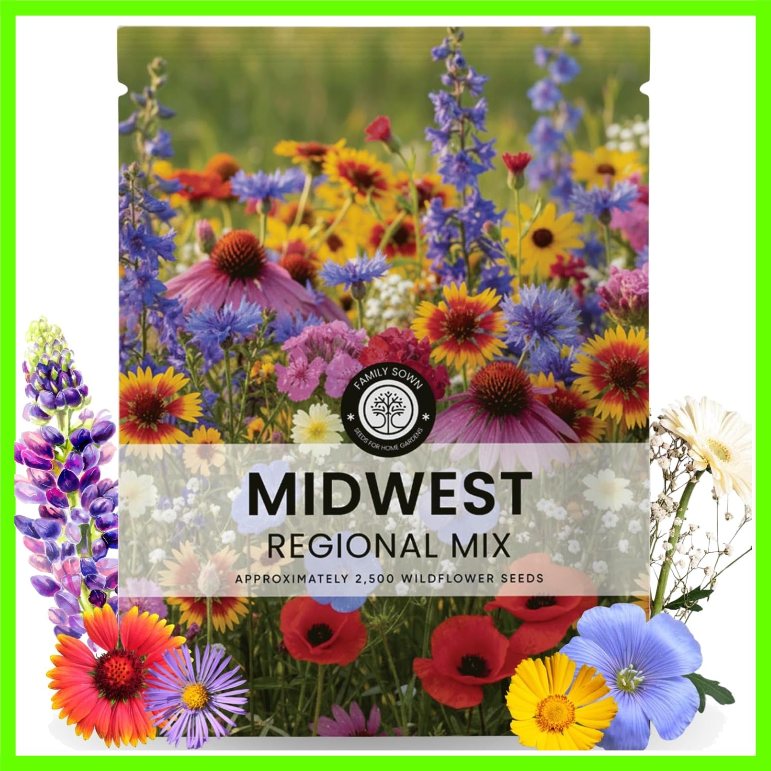 Midwest Regional Mix – 2,500 Seeds for Planting – 2026 Season – 5 Gram Pouch