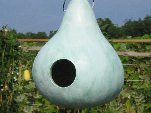 Birdhouse Bottle Gourd Seeds, Lagenaria siceraria