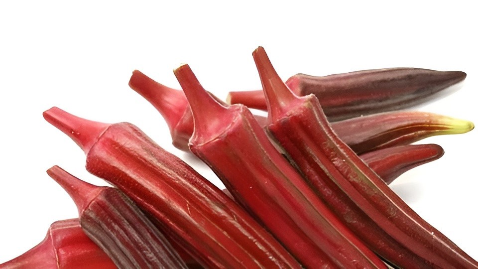 60 Heirloom Red Burgundy Okra Seeds – Tender Pods, Easy Harvest, Easy To Grow!