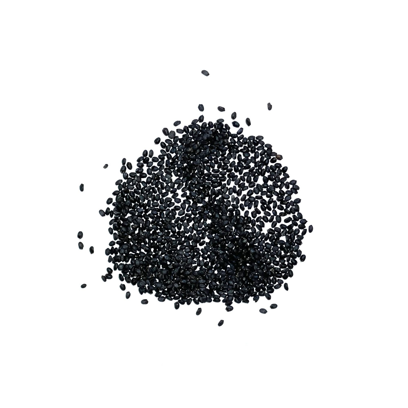 Dark Opal Basil Seeds For Planting (Ocimum basilicum)