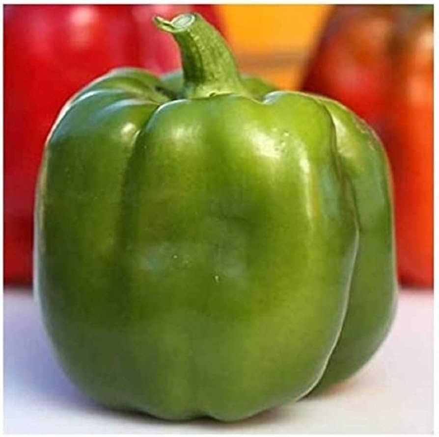 25 EMERALD GIANT SWEET BELL PEPPER SEEDS ~ 2026 ~ heirloomseedguy ~ USA