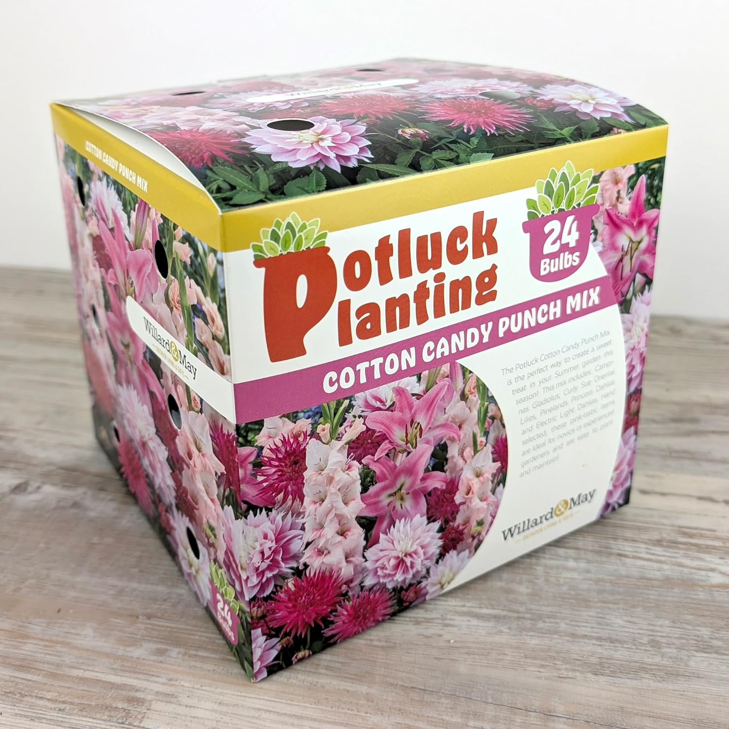 All-In-One Flower Bulb Garden Kit – Cotton Candy Punch Mix – 24 Flower Bulbs per
