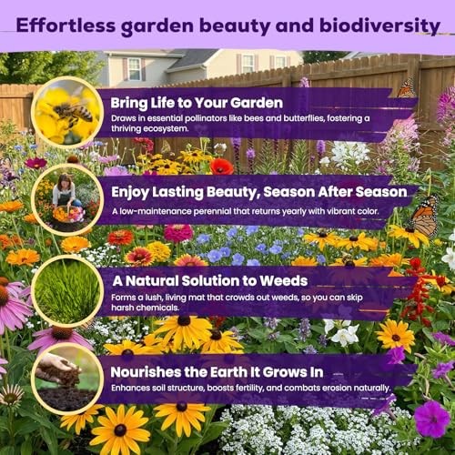 200,000+ Wildflower Seeds Bulk (4oz) – 16 Varieties Perennial & Annual Mix,