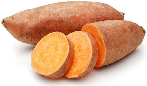 10 Orange Sweet Potato Slips Copper Jewel Variety–90 Days | Organic Luxury Slips
