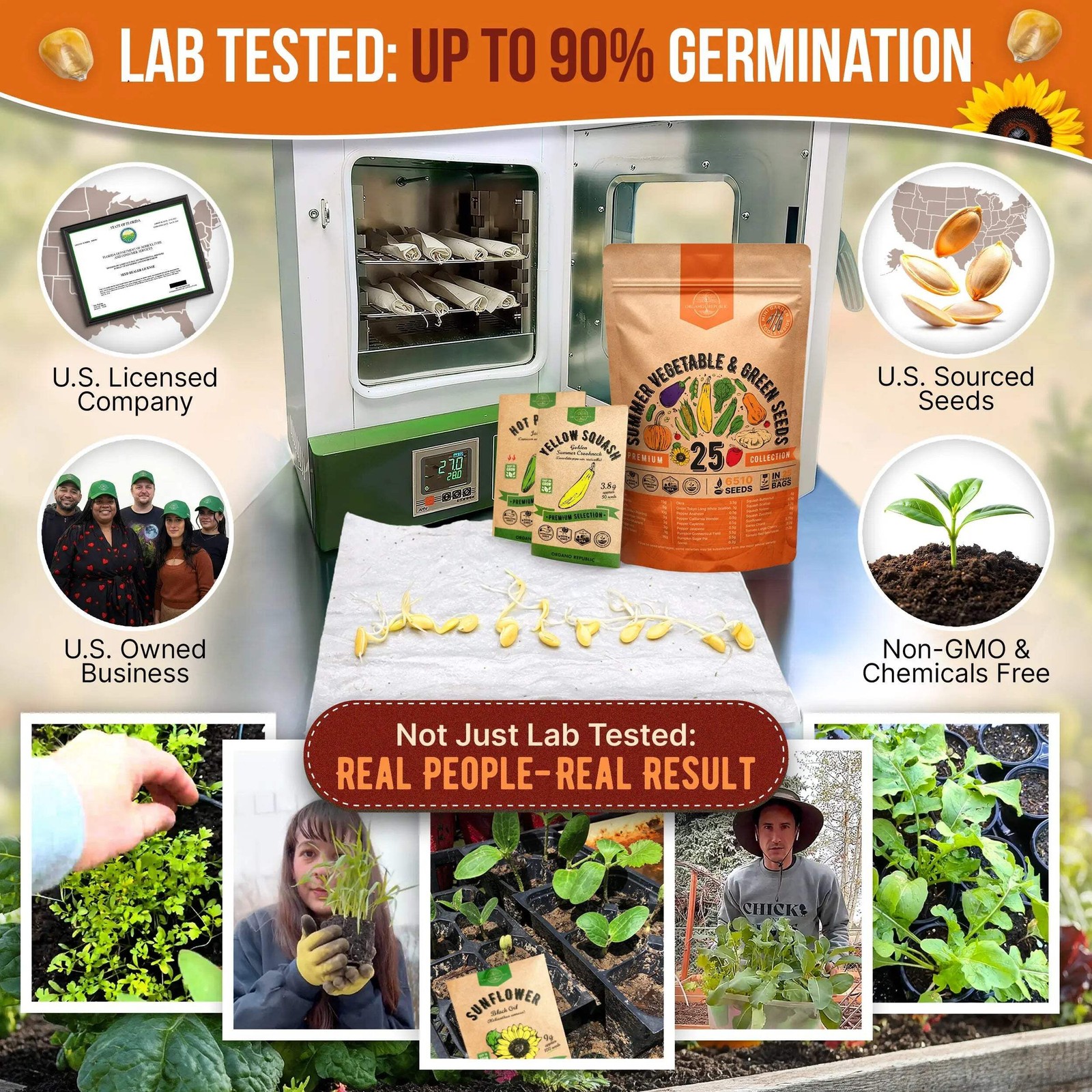 Summer Vegetable Seeds Variety Pack