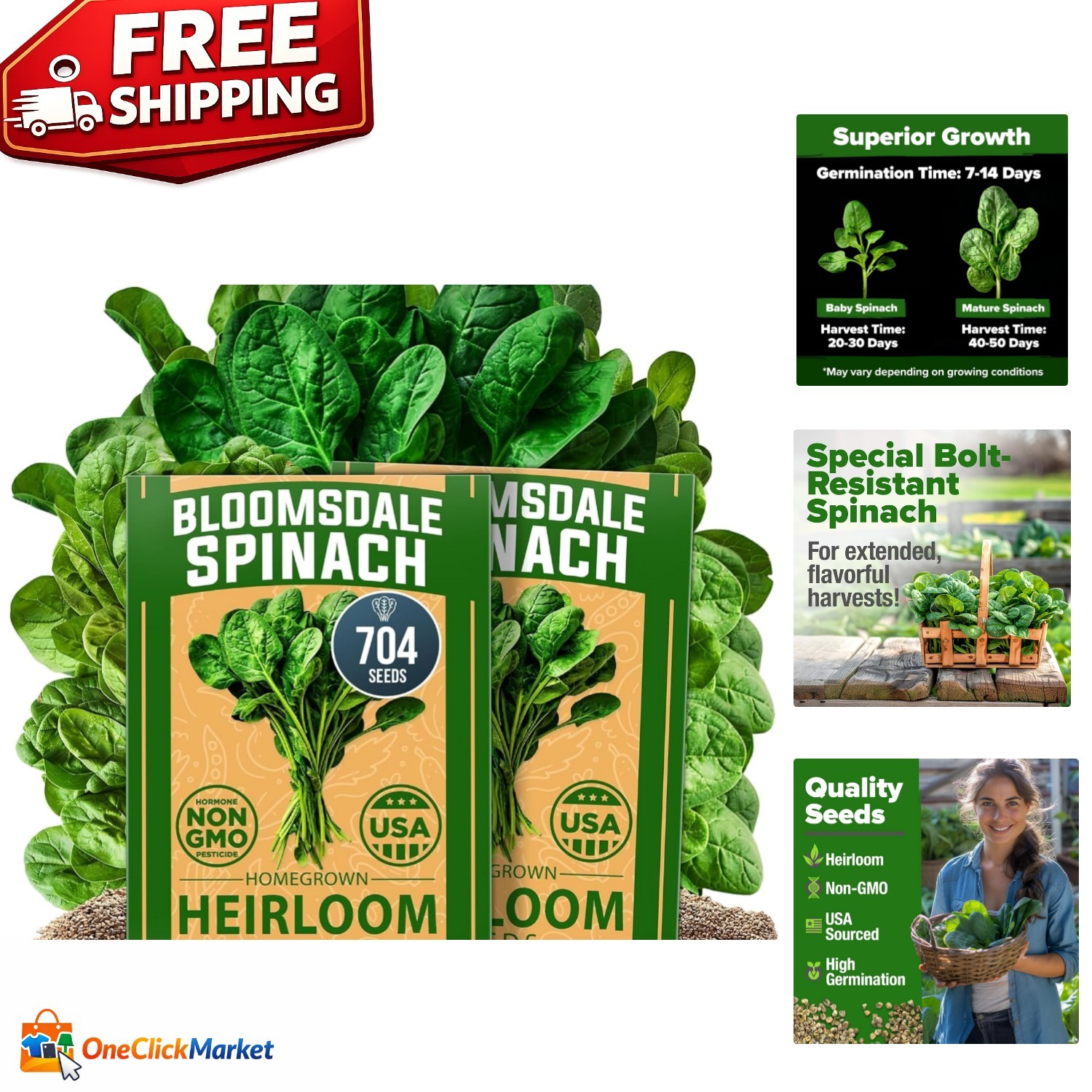 Heirloom Spinach Seeds 704+ – Low Maintenance, High Germination Success