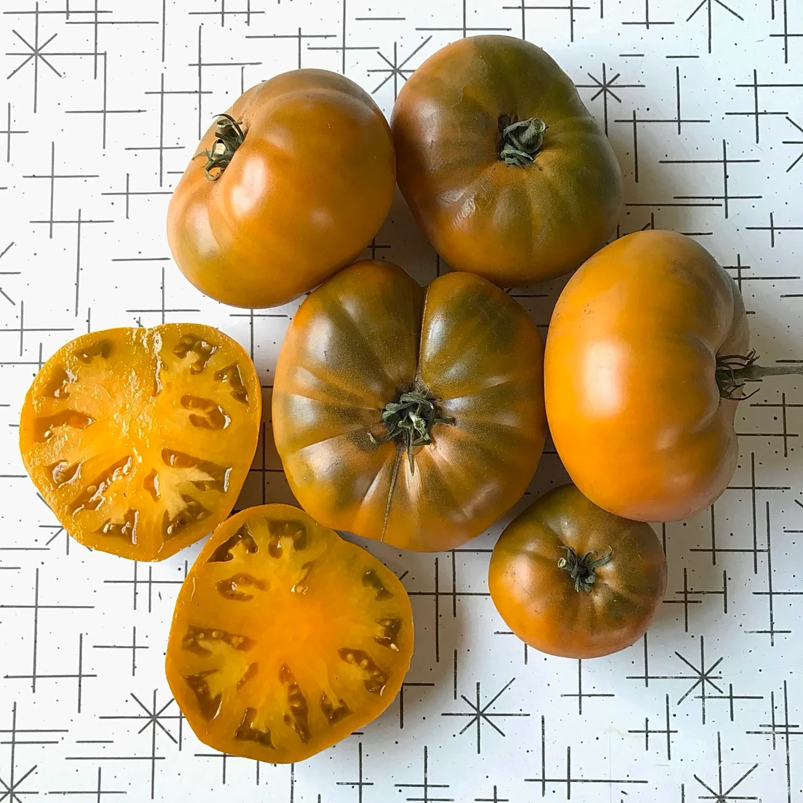 10 seeds Uluru Ochre DWARF Tomato Variety ORGANIC DTP beefsteak