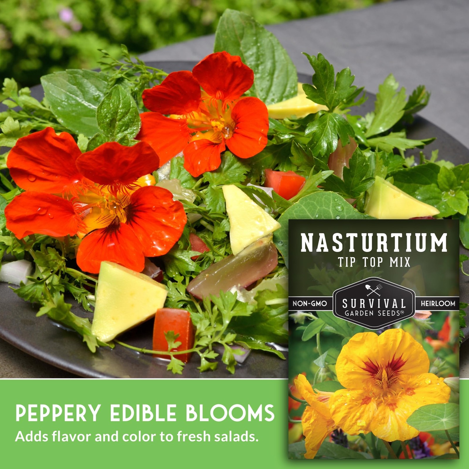 Nasturtium Seeds for Planting Outdoors – Tip Top Mix Heirloom Variety mixed