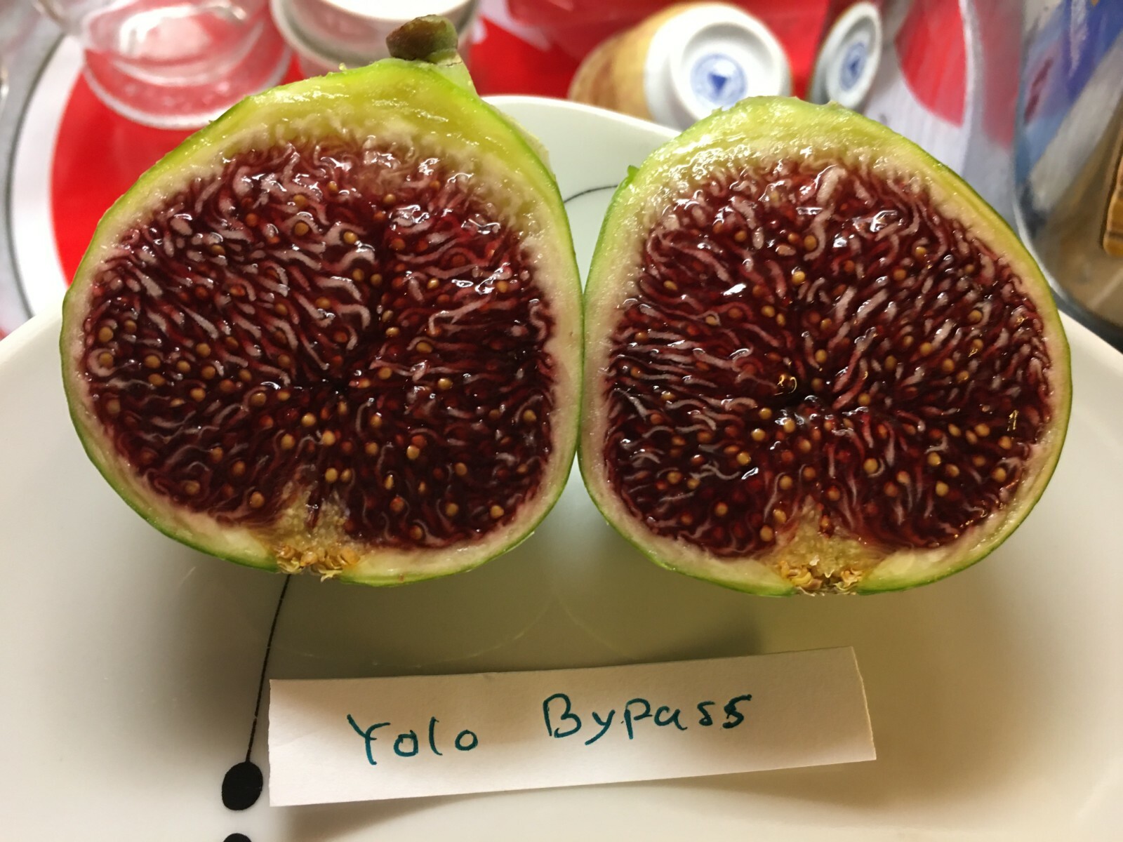 Yolo Bypass Fig (TP-FG-0004) (Two cuttings)