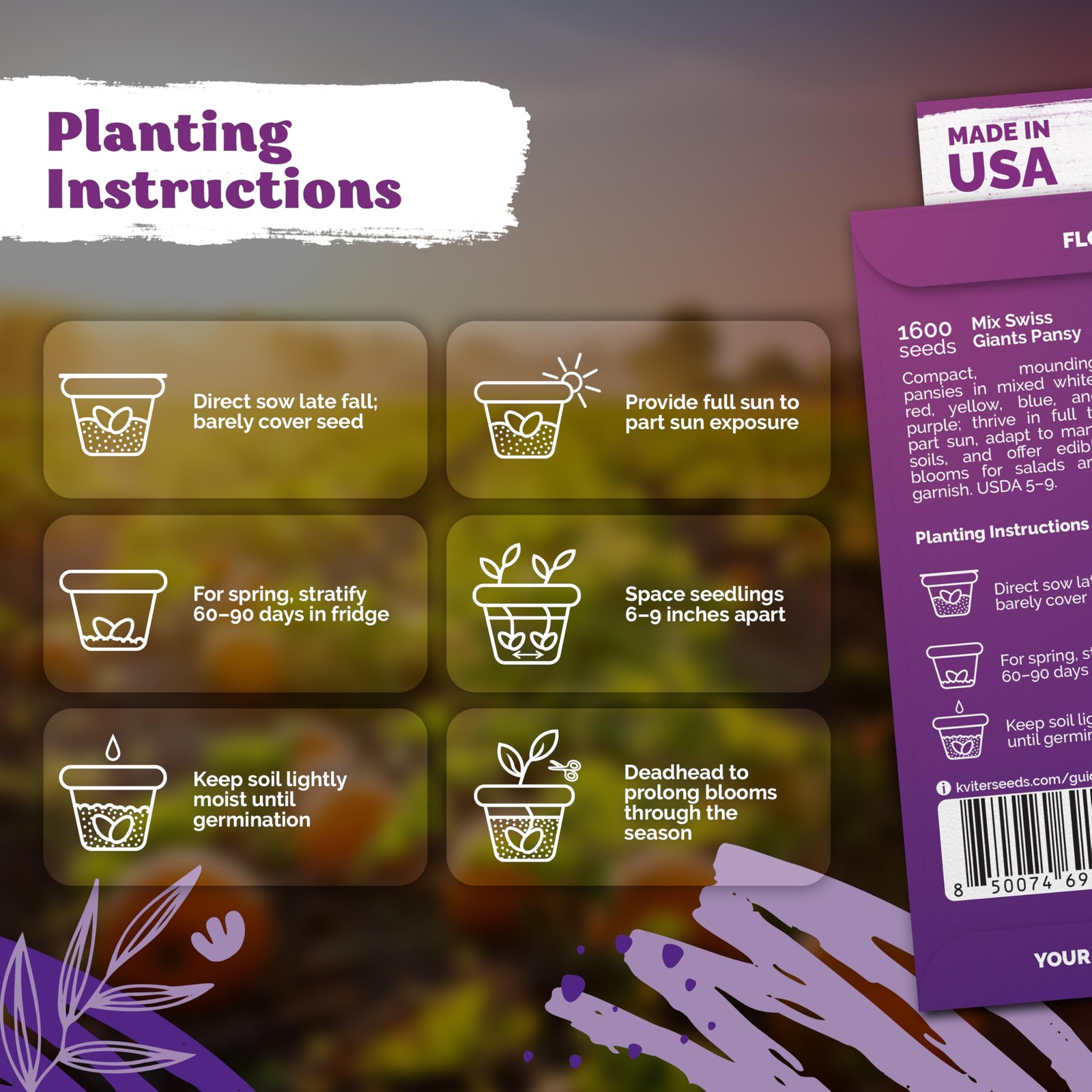 KVITER 1600 Swiss Giants Pansy Seeds For Planting (Viola wittrockiana)