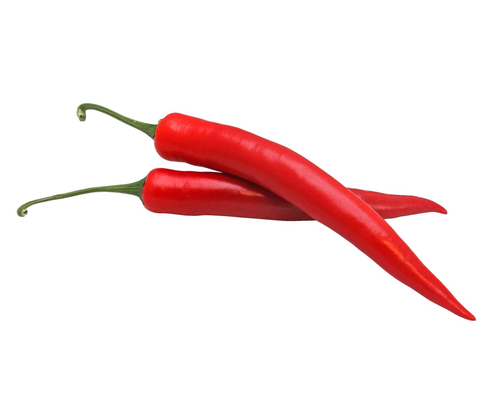 Vegetable Seeds-Long Red Cayenne Pepper-20 Chile Seeds- Beautiful Green to Red