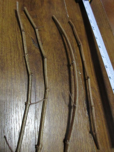 4x Razzmatazz Grape Fresh 2026 Dormant Vine Cutting Scion 8-12″ for Rooting