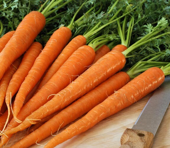 Tendersweet Carrot Seeds HEIRLOOM, Non-Gmo, Fresh & Fun Little Carrots