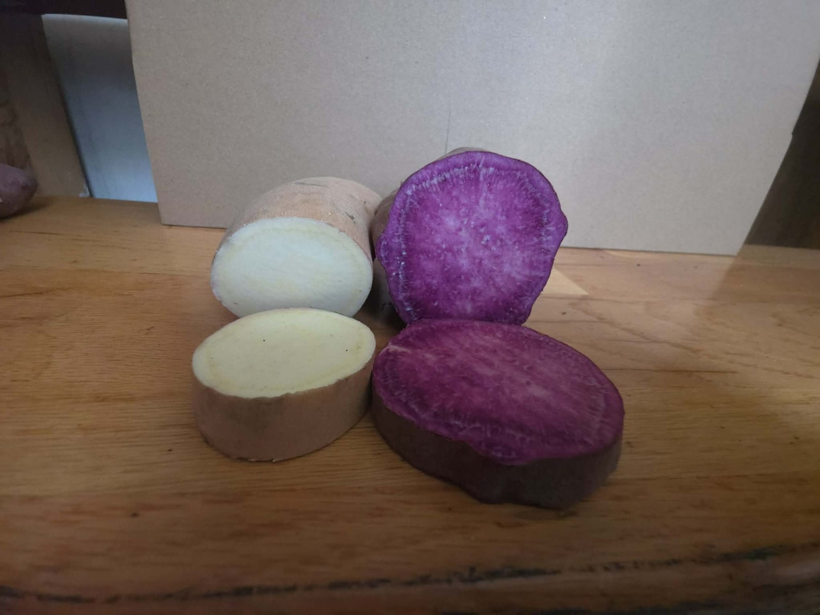 White Hannah x Purple Stroke Rooted Slips Premium Rare Variety Pack – 10 Total