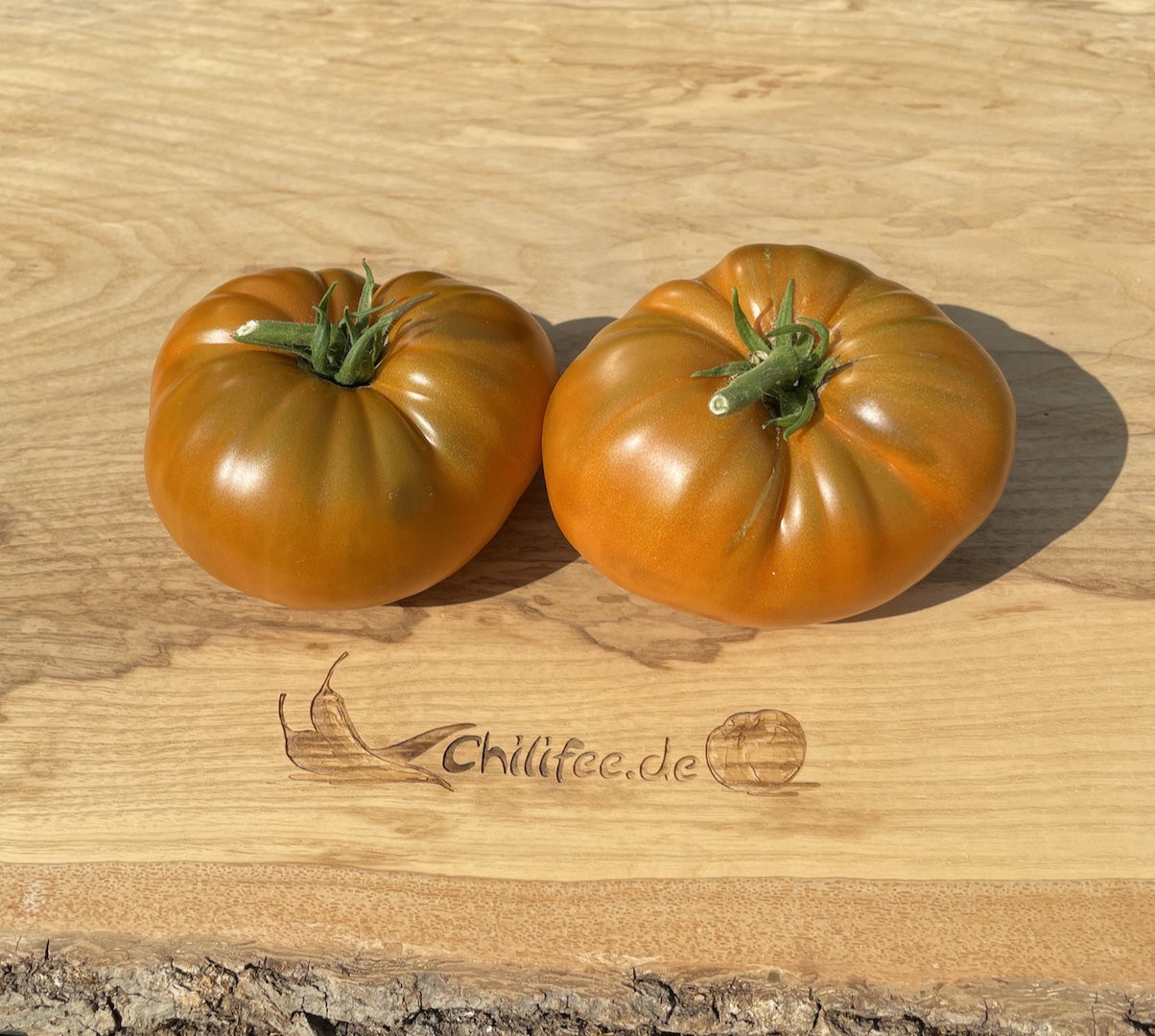 10 seeds Uluru Ochre DWARF Tomato Variety ORGANIC DTP beefsteak