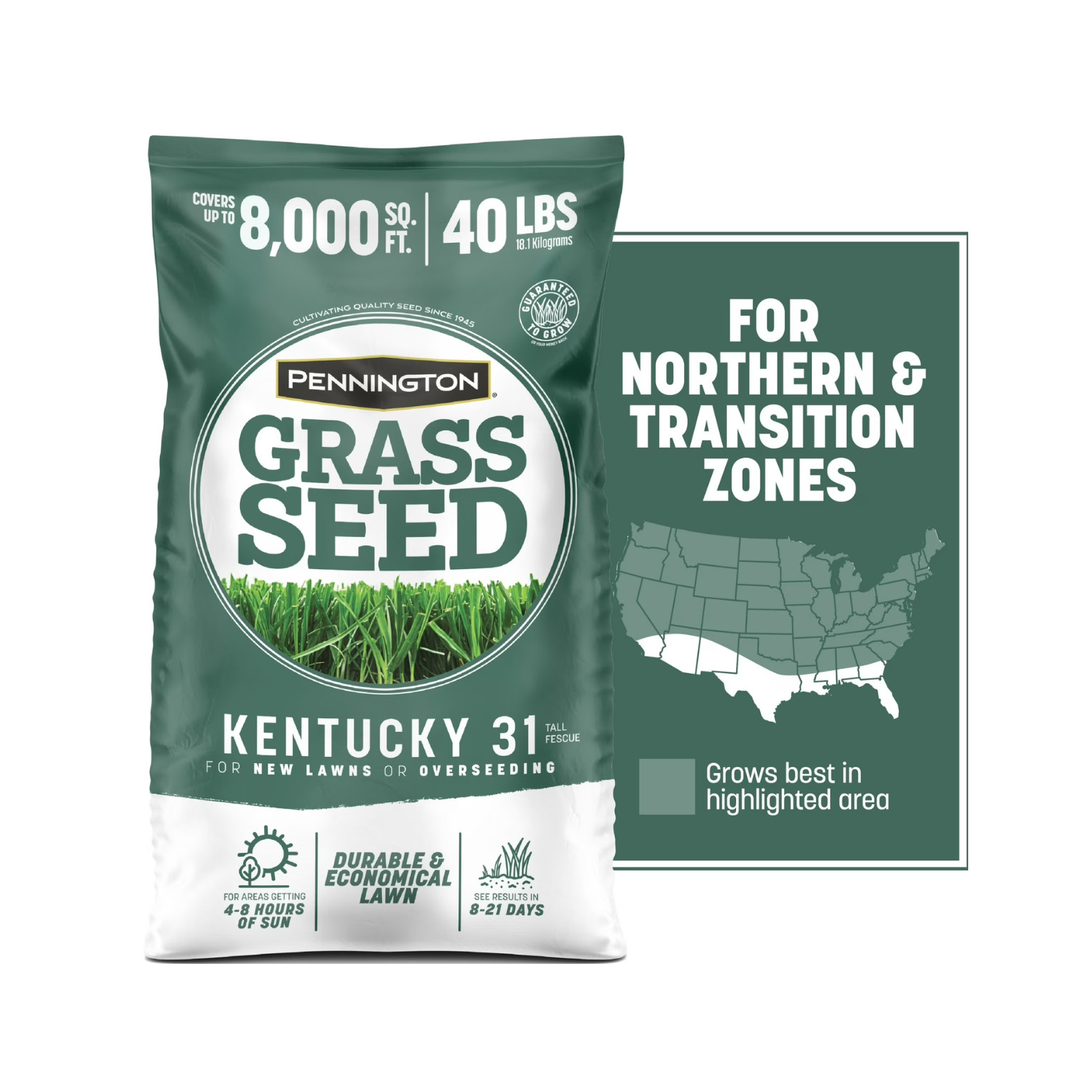 Pennington Kentucky 31 Tall Fescue Grass Seeds for Lawn, Sun to Partial Shade