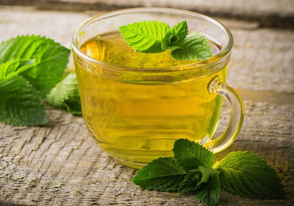Spearmint Seeds | Mentha Spicata Spear Mint Non GMO Garden Vegetable Herb 2025