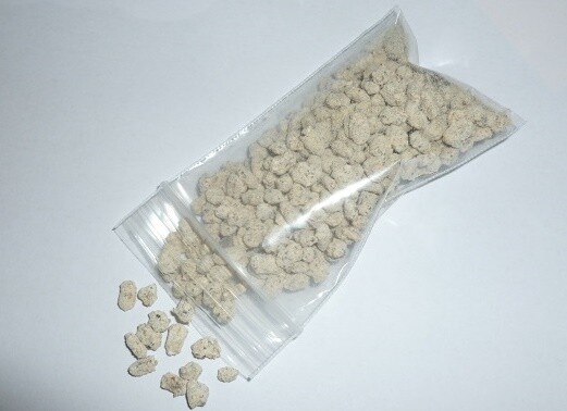 REISHI mushroom spores spawn/mycelium (on dry seeds) 20 grams