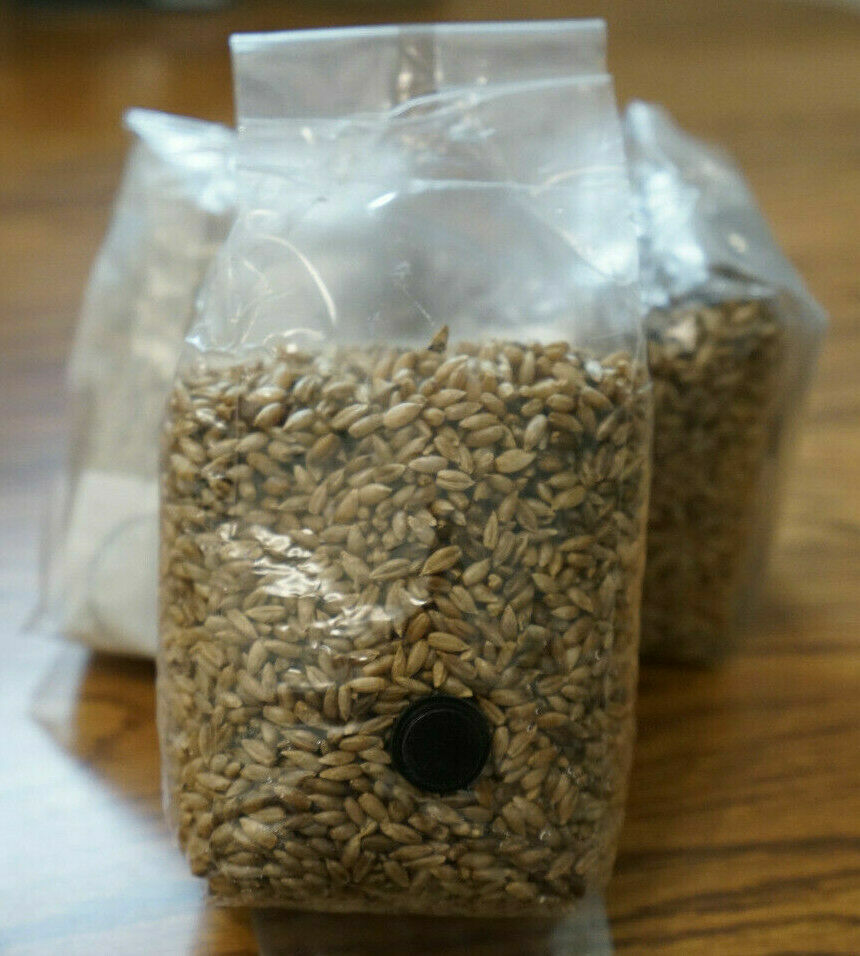 Four 2.5LB Sterilized Rye Berry Spawn Mushroom Bags With Injection Port