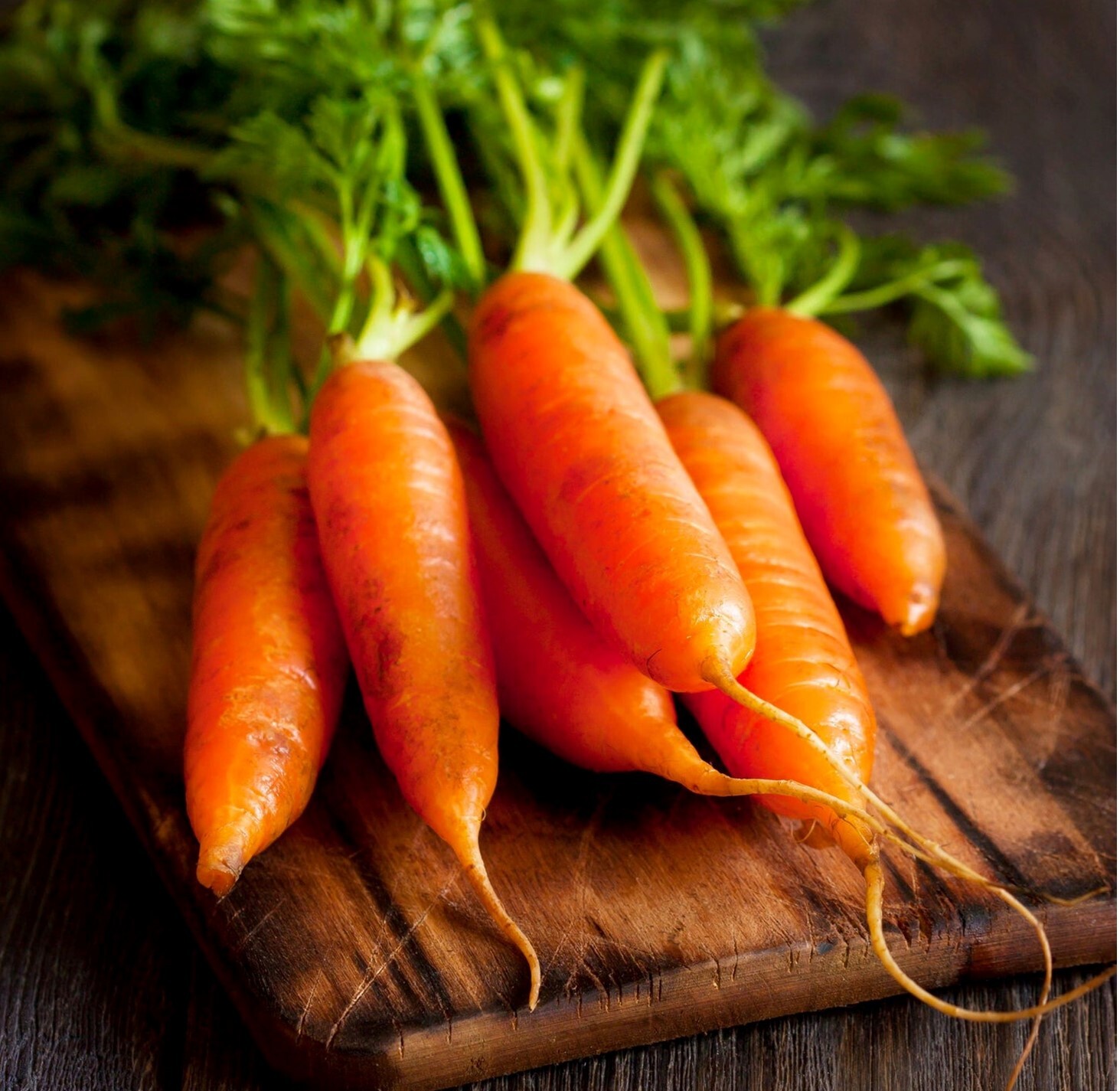 Little Fingers Carrot Seeds HEIRLOOM, NON-GMO, Fresh & Fun Little Carrots