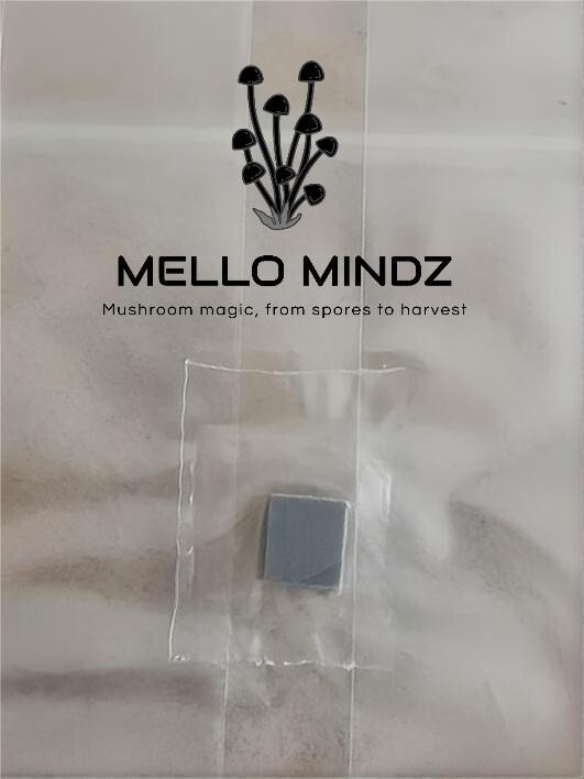 Spawn Bags – 10 pack Injection Port, 0.2 Micron Filter, 4x3x18 “FREE SHIPPING”