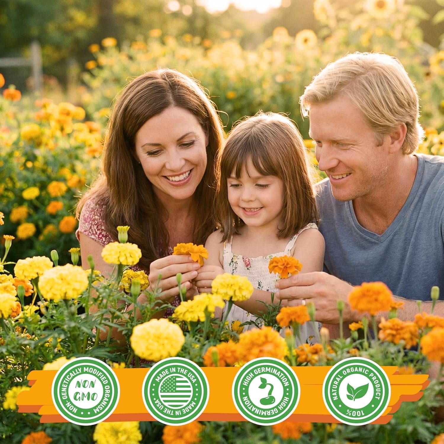 Heirloom Marigold Seeds – 400+ Non-GMO Seeds for Breathtaking Floral Displays