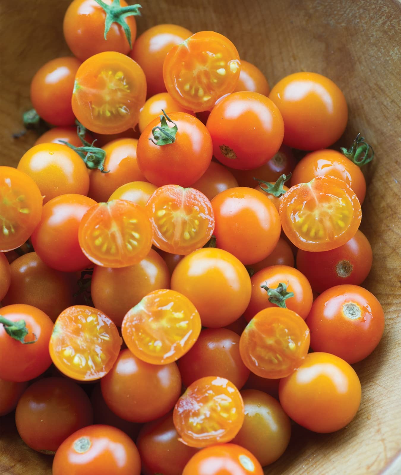 Burpee ‘Sun Gold’ Hybrid, Sweet Orange Cherry 30 Seeds, Sun Gold Hybrid