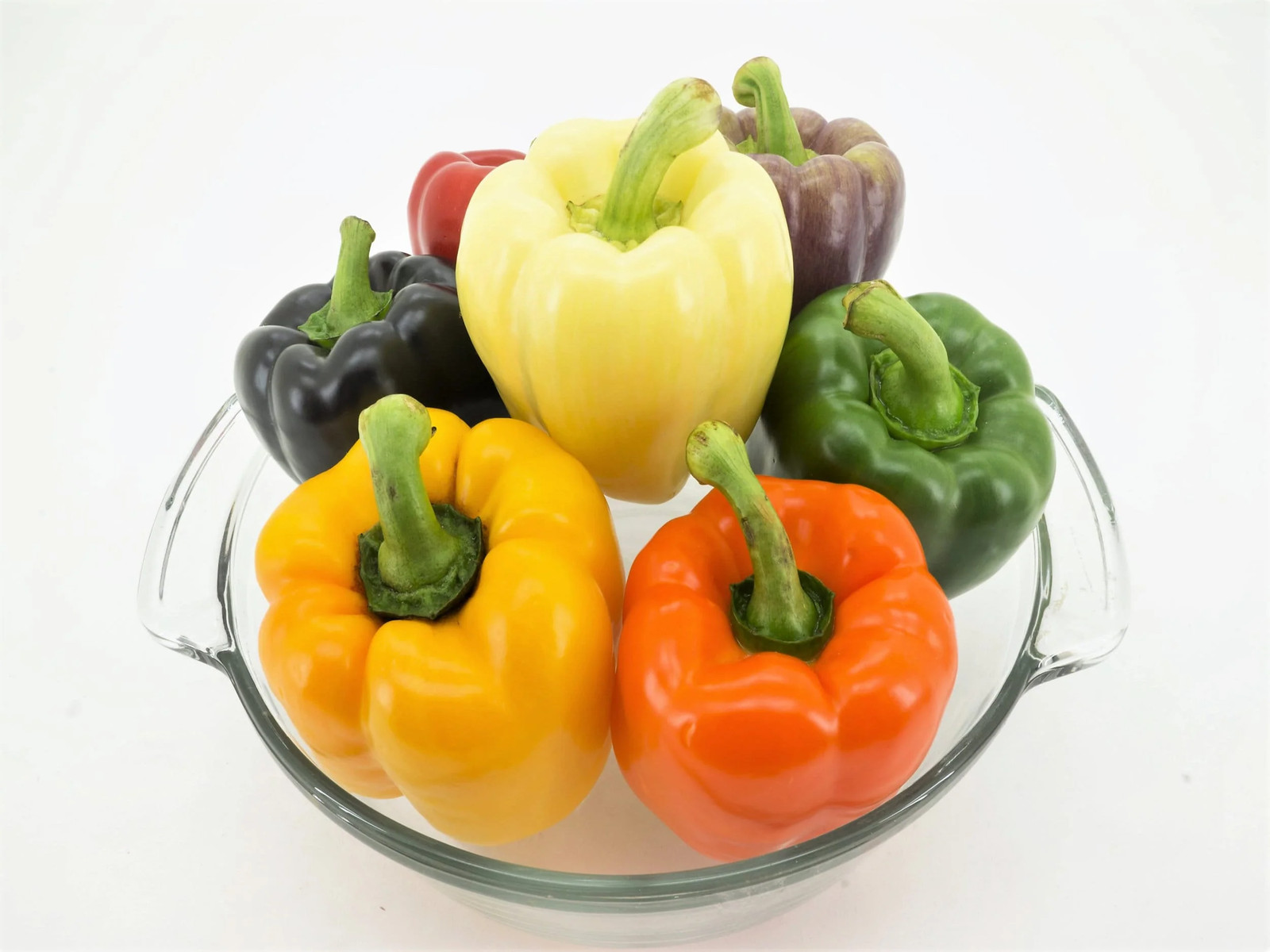 150 RAINBOW BELL PEPPER Sweet Red, Green, Yellow, Orange, Purple, Brown, &