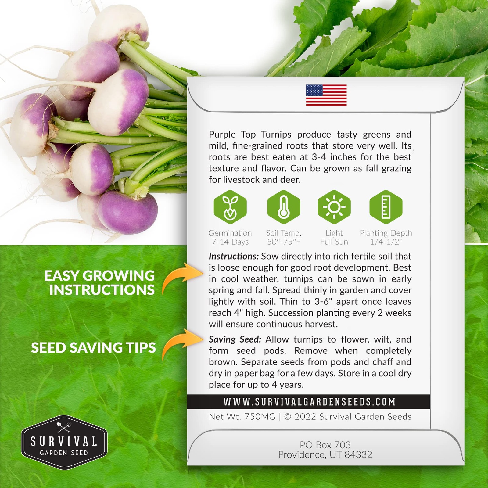 Heirloom Turnip Seeds – Non-GMO Purple Top for Home Gardens (2 Packs)