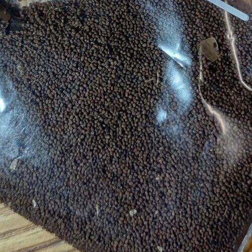 LOUISIANA PERIQUE TOBACCO Nicotiana tabacum 150 seeds! 2022 harvest. Smoking