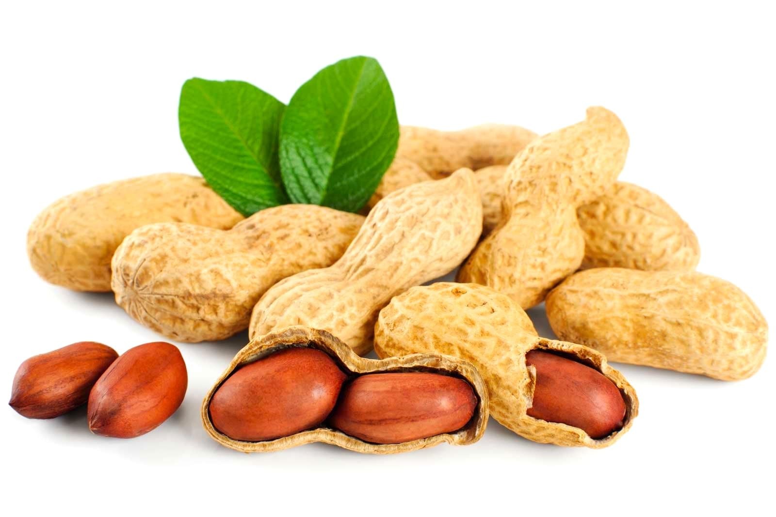 Spanish Peanut Seeds – 10 Count for Growing Annual Warm-Season Plants