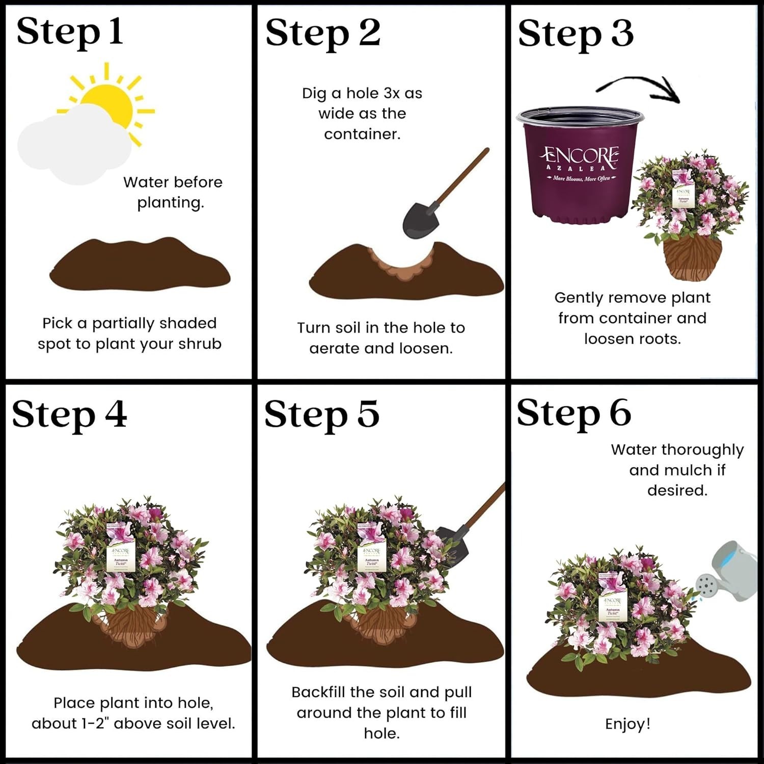 5 Gallon Azalea Plant: -Round Interest, Spring-Fall Blooms