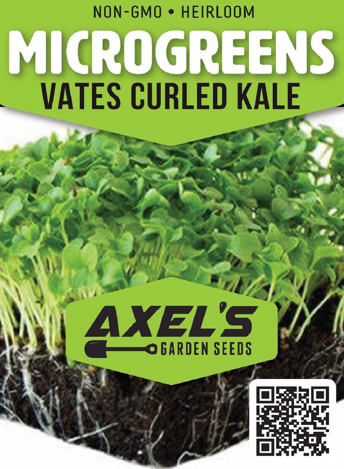 Vates Blue Scotch Curled Kale MICROGREEN Seeds | Non-GMO | Seeds for Sprouting