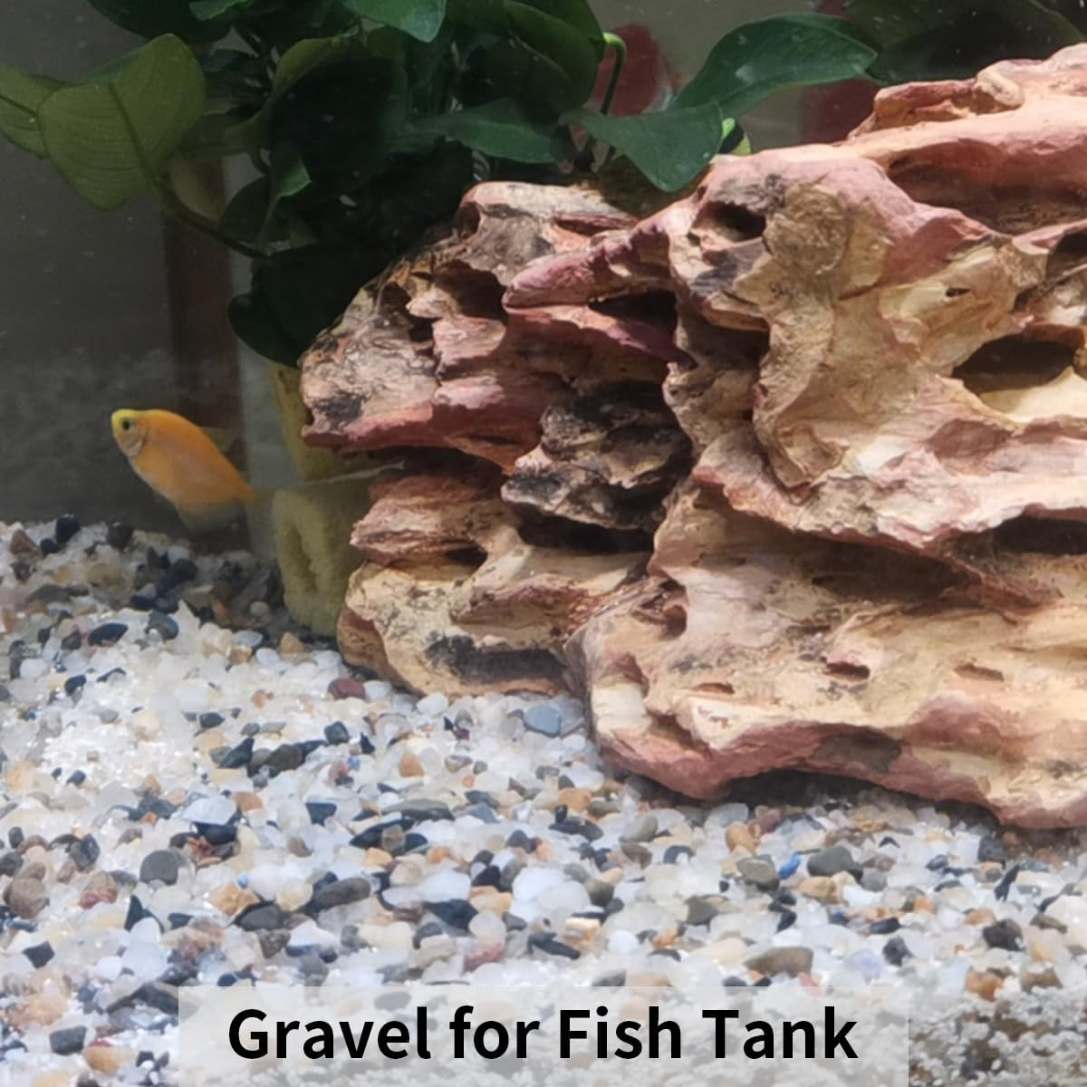 FANTIAN 5 Lbs Natural Mixed Color Gravel Pebbles, 3/8 Inch Decorative Succulent