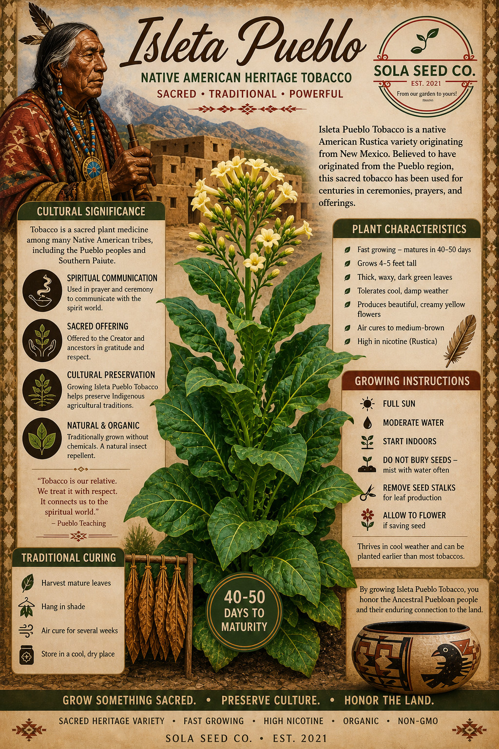500 Isleta Pueblo Tobacco Seeds, Nicotiana rustica, Sacred Tobacco, FL Grown