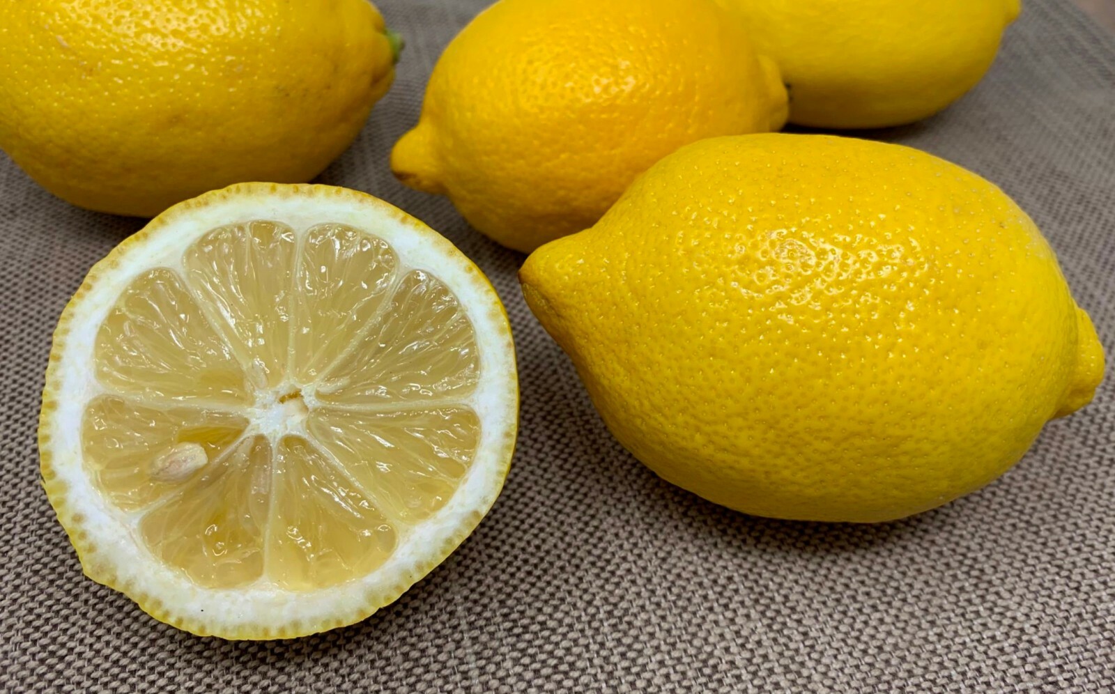 Eureka Lemon Tree, 24-36″ tall, grafted, Can not send to Az, Ca, Fl, La, Tx, Hi,