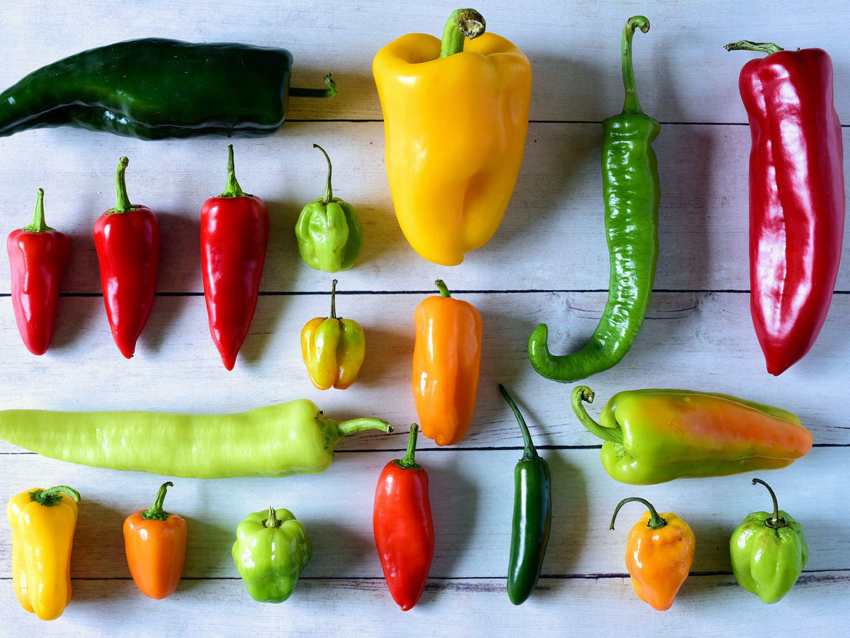 more #2 ASSORTED CHILI PEPPER SEEDS 25 varieties you choose hot mild all NON-GMO