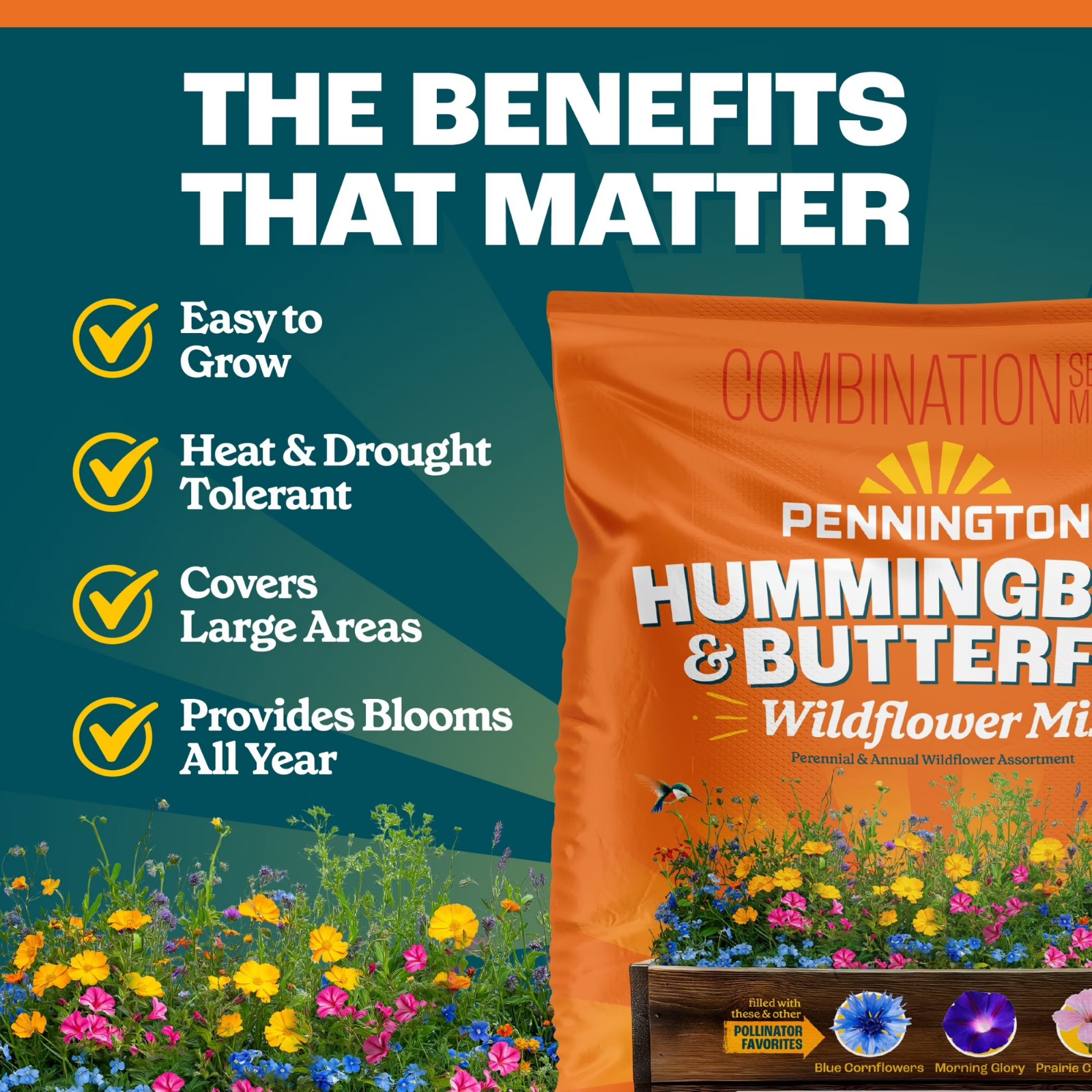 Pennington Wildflower Mix – Hummingbird and Butterfly 32 Ounce 2 pack