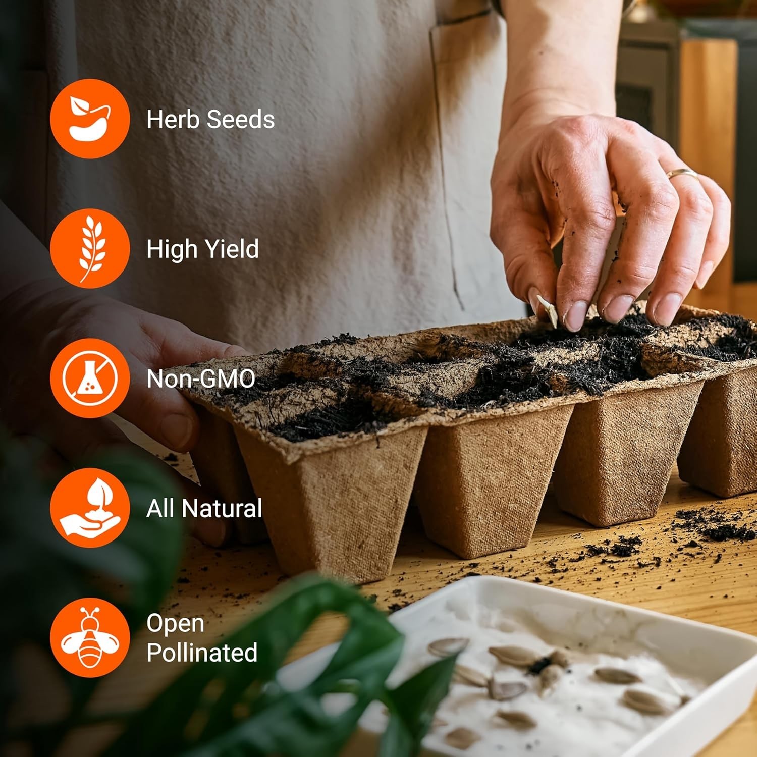 Pet-Friendly Herb Seeds | 12 Varieties of Heirloom Non-GMO Garden Essentials