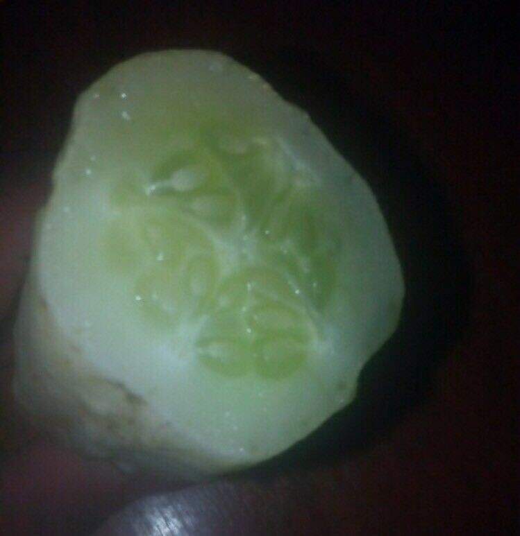 20pcs White Cucumber Seeds Cucumis Sativus Vegetable Fruit Home Garden Plant