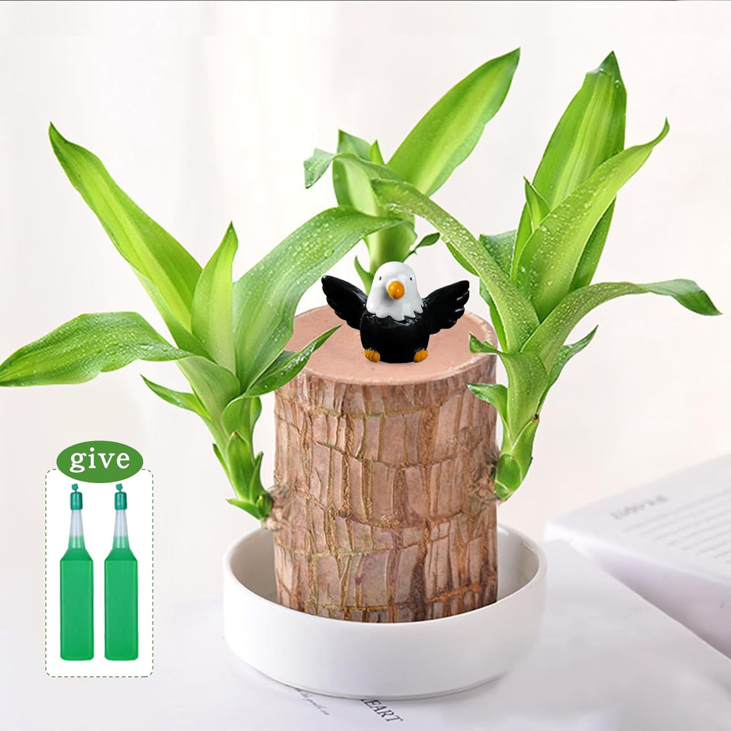Brazilian Lucky Wood Plant,Fortune Brazil Wood Potted Plant with Eagle Figurine,