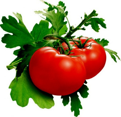 1 oz Tomato Seeds, Delicious, Non-Gmo Heirloom Seed, Huge Tomatoes 10,000ct