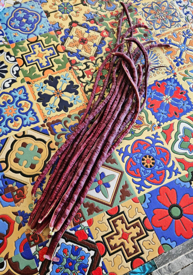 Oriental Red Noodle Bean / Red Yardlong Seeds (25) / ORGANIC / FLORIDA GROWN