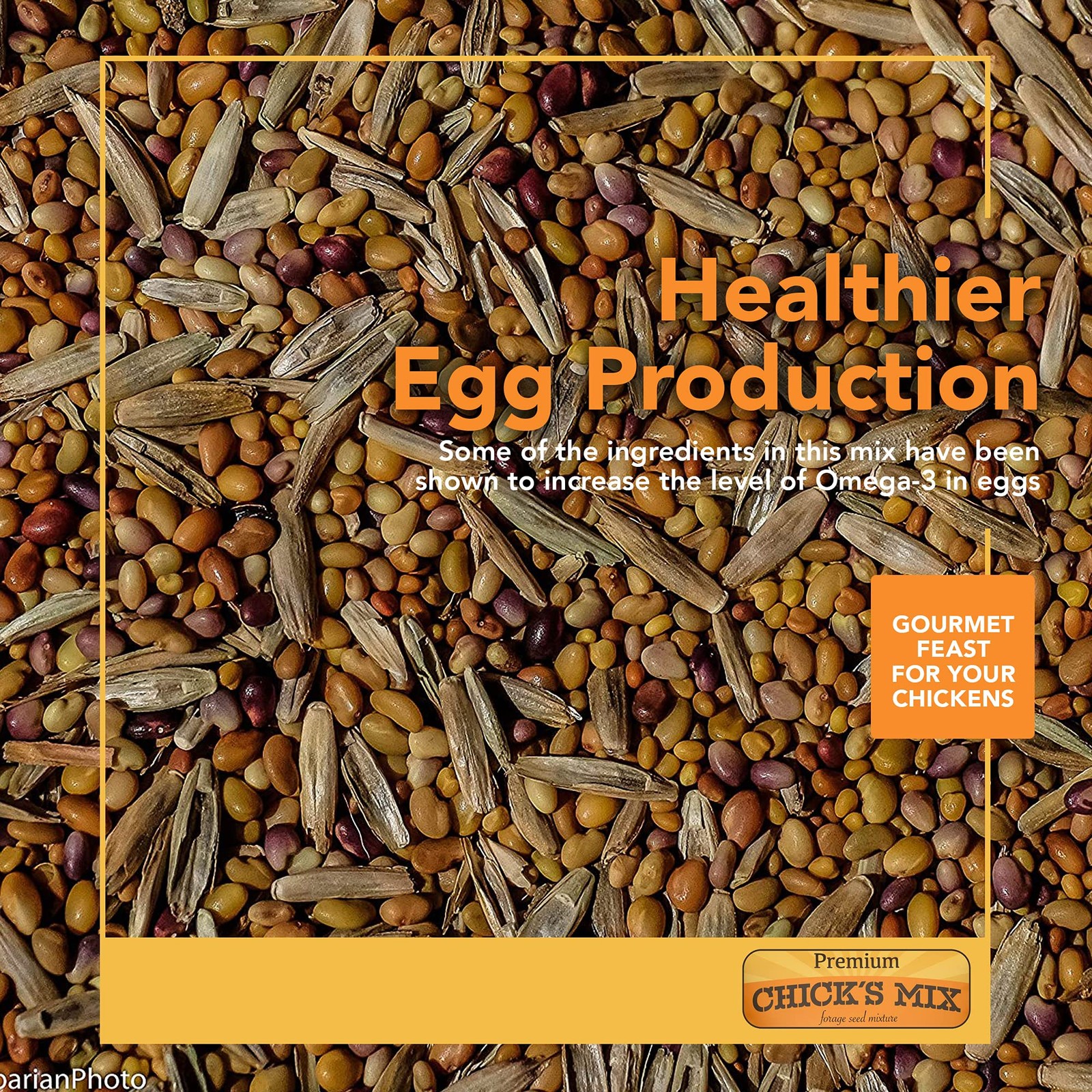 Forage Seed Mix For Chickens Poultry Goats Sheep Omega 3 Eggs 1 lb Non GMO