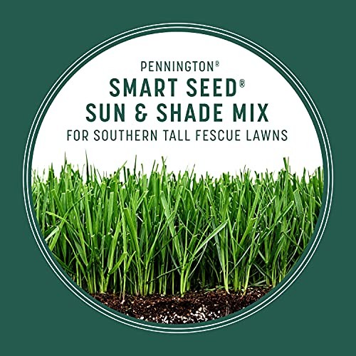 Smart Seed Sun and Shade Tall Fescue Grass Seed Mix for Sun & Shade South 20lb