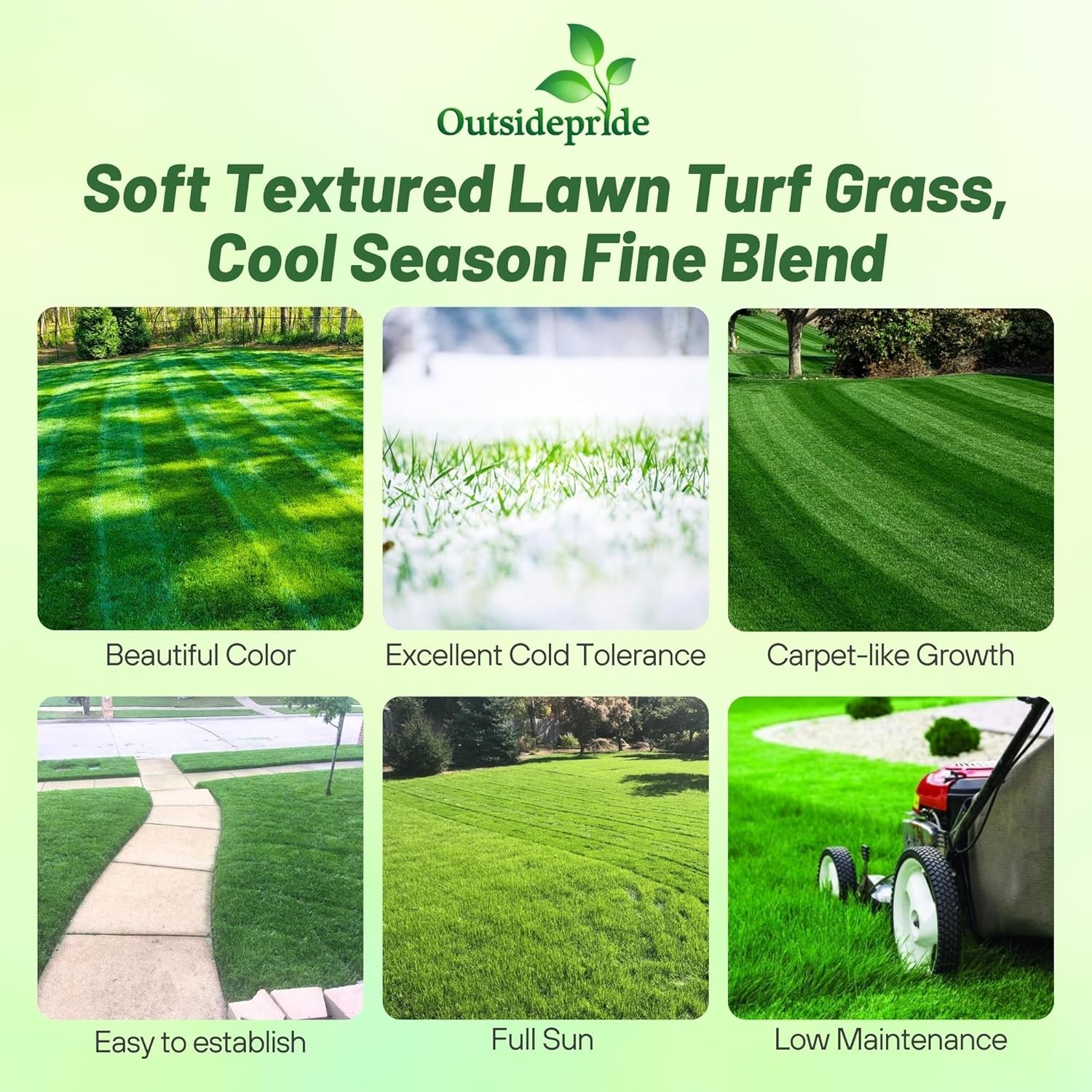 10 LBS – OptiGrowth Coated Kentucky Bluegrass Seed For Lawns – Bluegrass