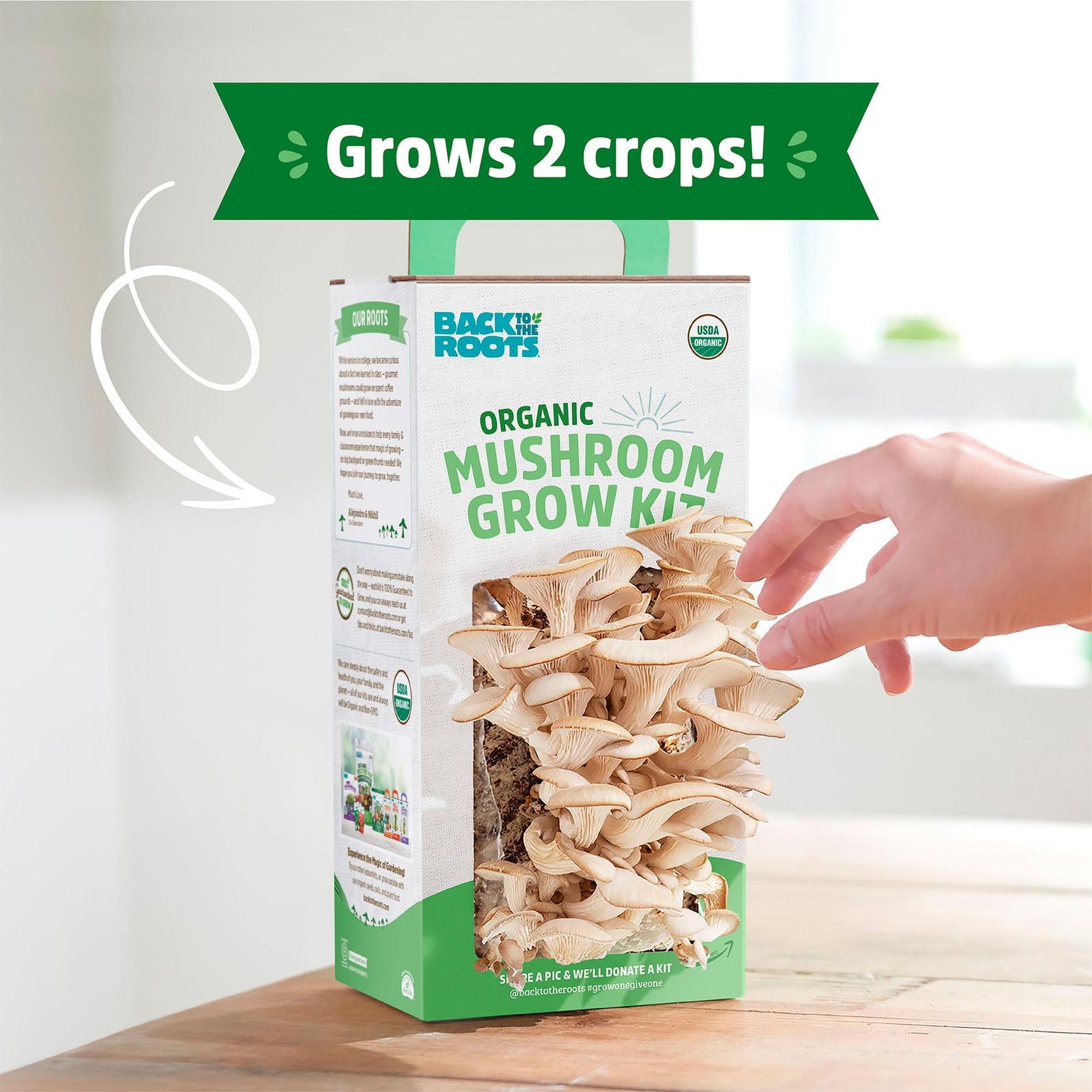 Organic Mushroom Grow Kit Indoor Gourmet Mushrooms All Year Round Easy to Use