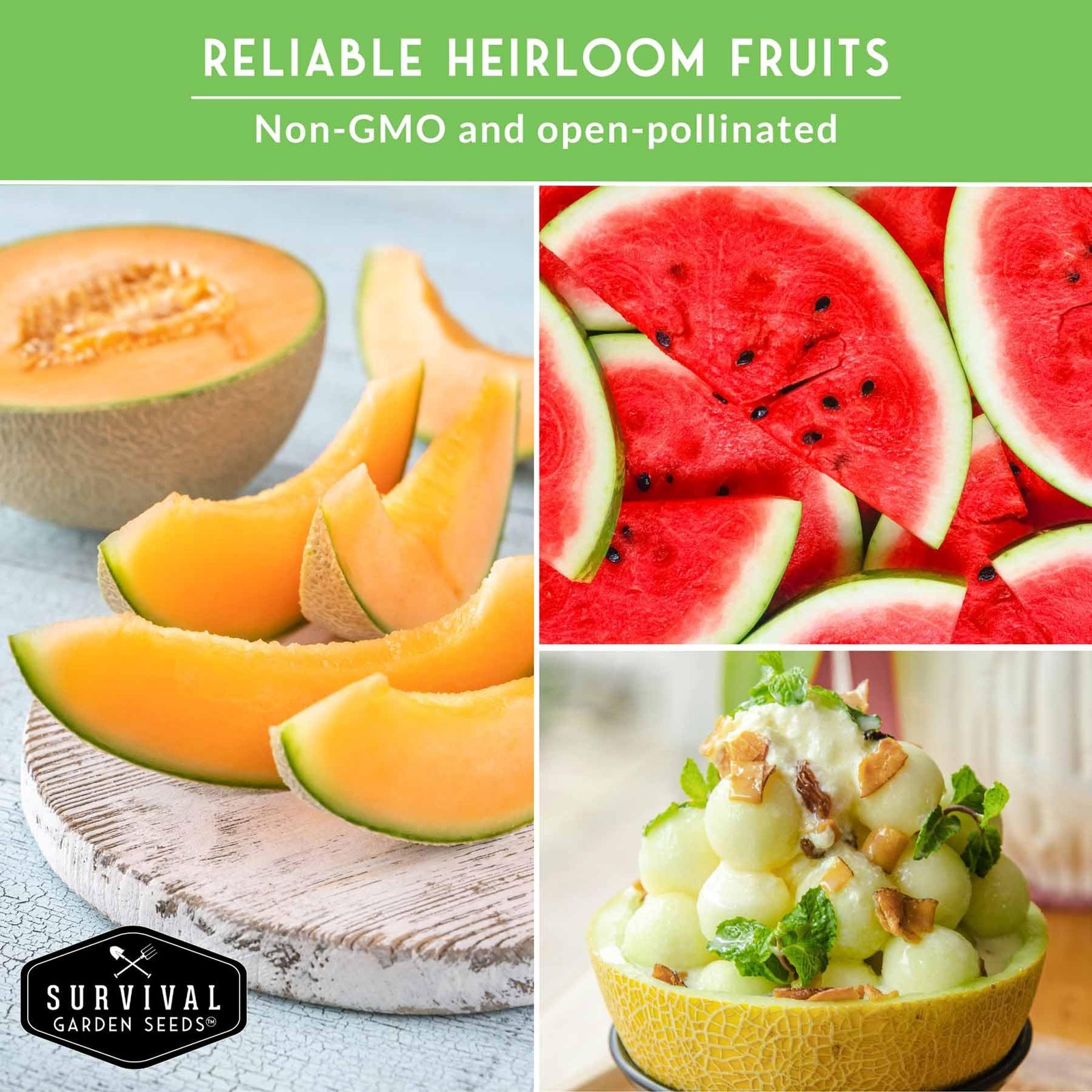 Fruit Seeds 8 Variety Pack Watermelon Cantaloupe Melon Strawberry Ground