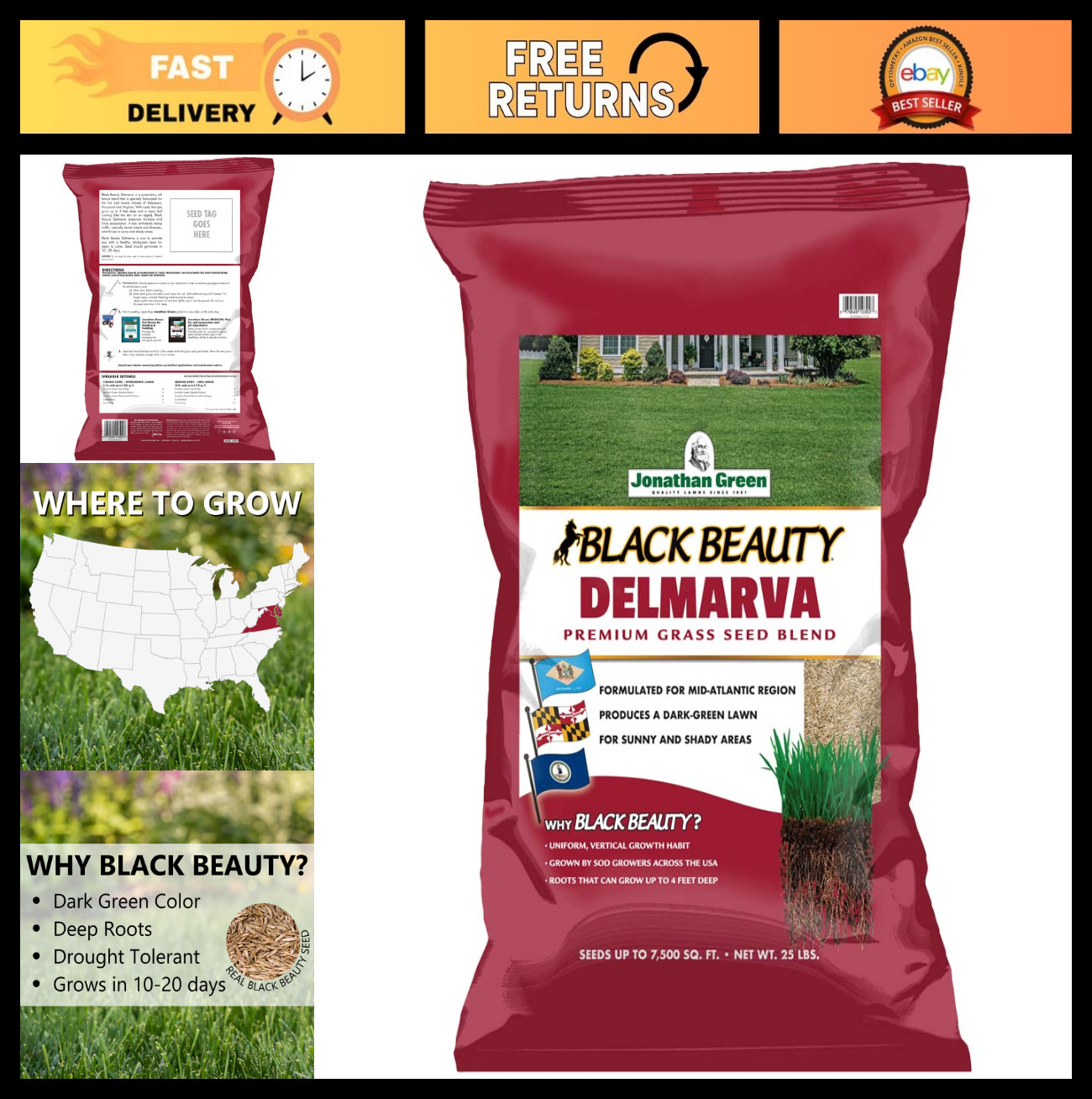 Premium Black Beauty Grass Seed for Maryland, Delaware, Virginia – 25 lb Cool Se