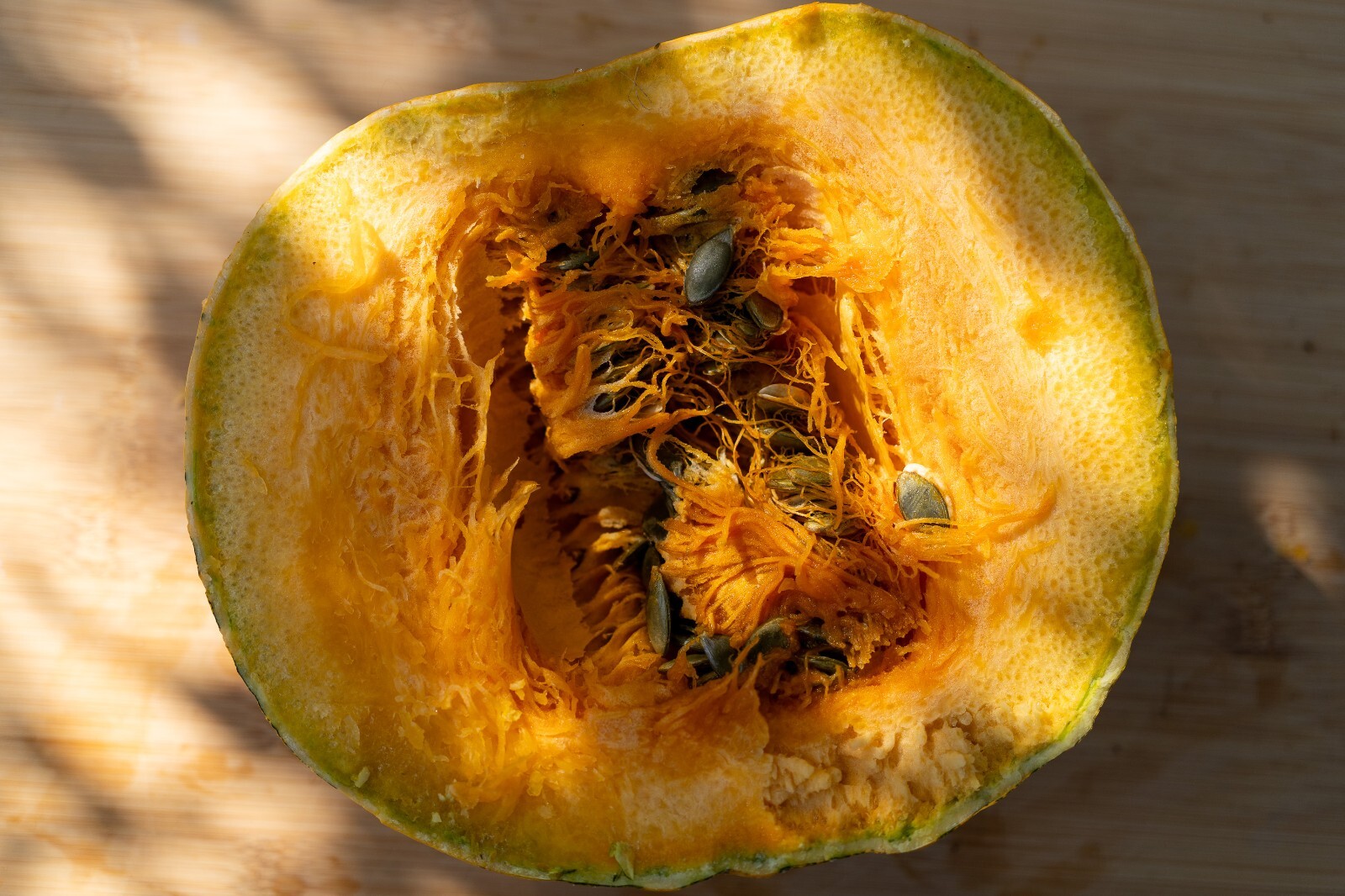 Styrian Hulless Pumpkin Seeds: Certified Organic, Non-GMO Seed Packet or Bulk